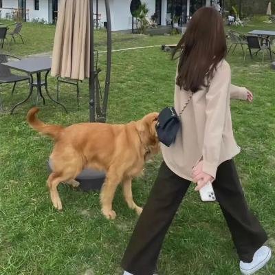 擒人擒心